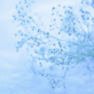 Meet your Posher, Ada